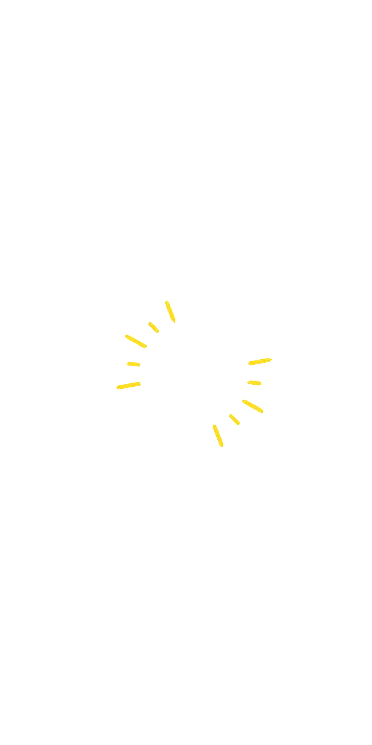 Socket
